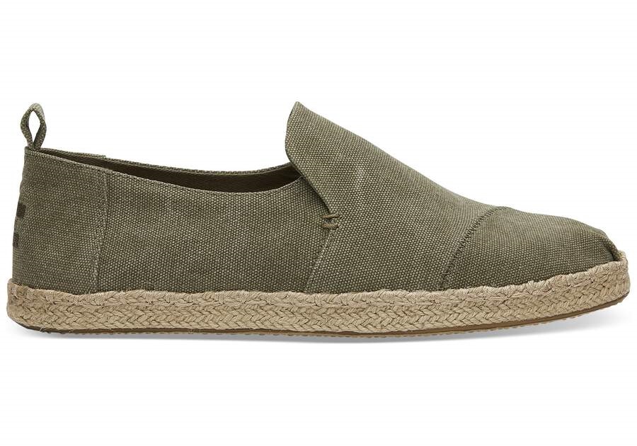 TOMS ALPARGATAS CANVAS